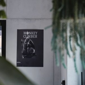 Monkey Climber Poster