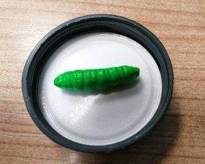 Berkley Gulp! Honey worm 4,5cm Spring Green