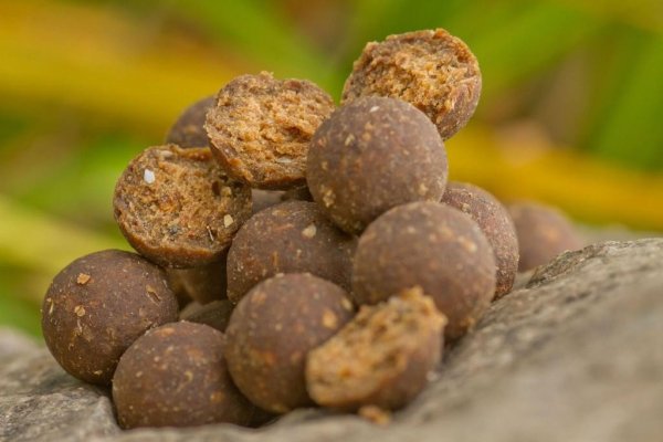 Starbaits Boilies Concept NFS 24mm 1kg
